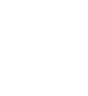 Logo White